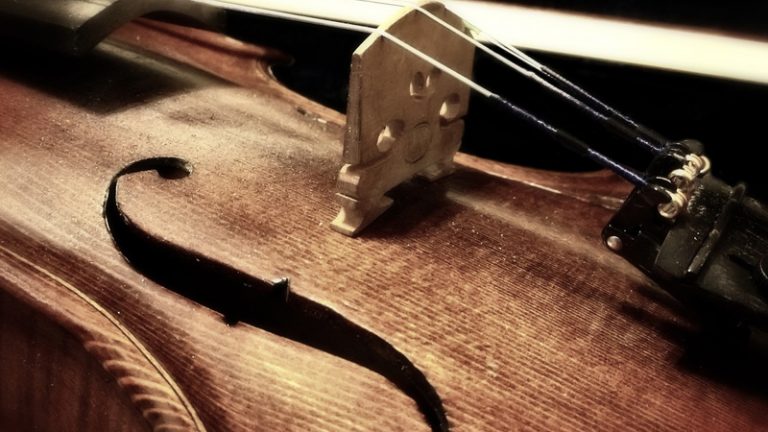 מורה לכינור